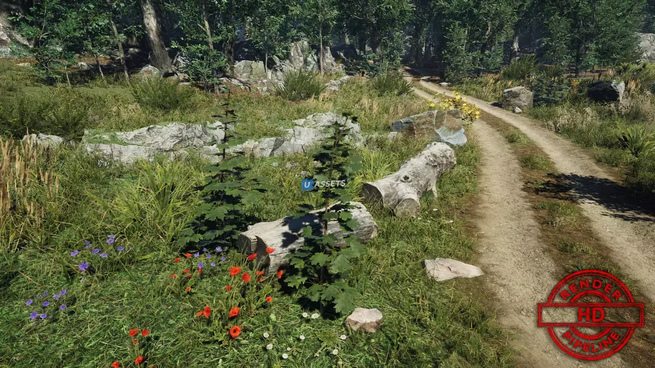 Meadow Environment - Dynamic Nature