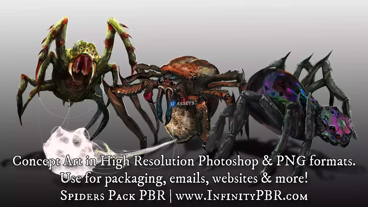 Spider Character Spiders Pack - Fantasy RPG