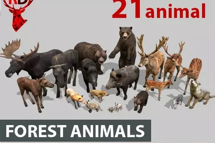 Forest animals 1.0