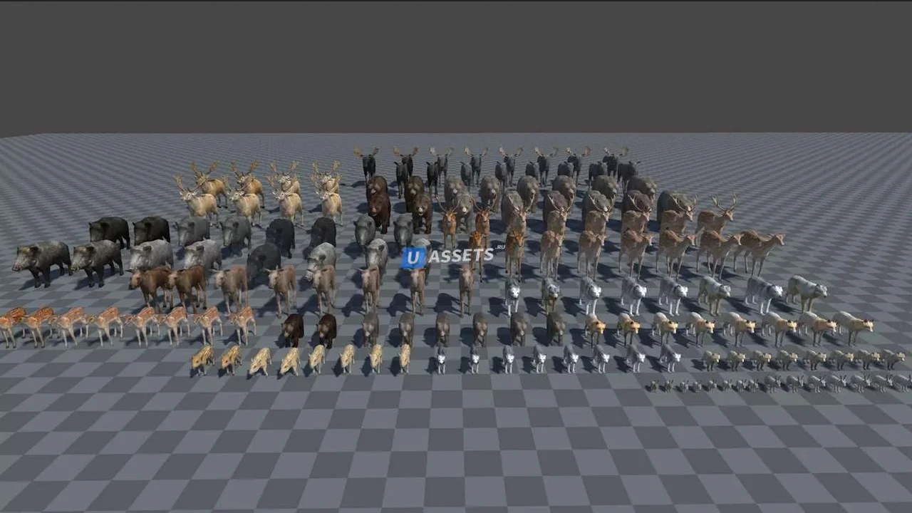 Forest animals 1.0