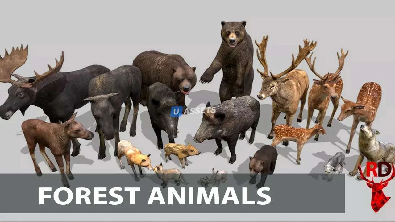 Forest animals 1.0