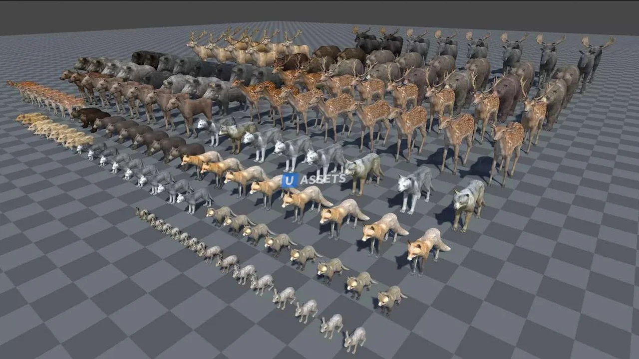 Forest animals 1.0