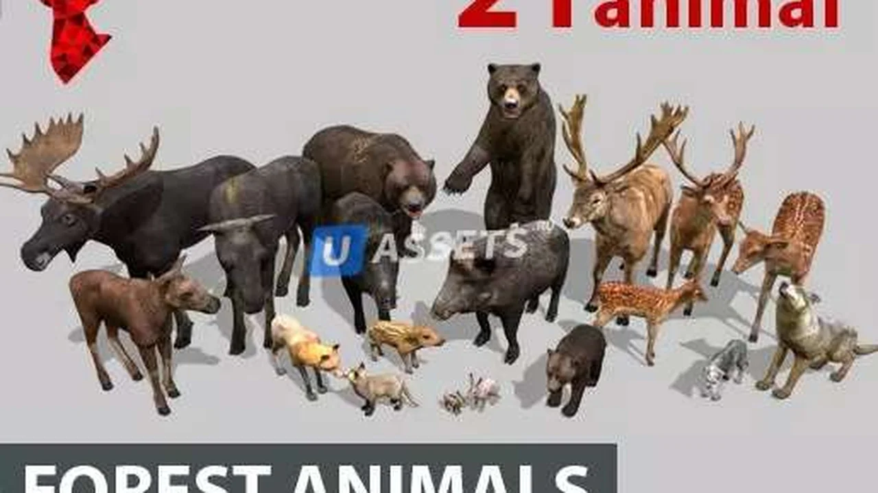 Forest animals 1.0
