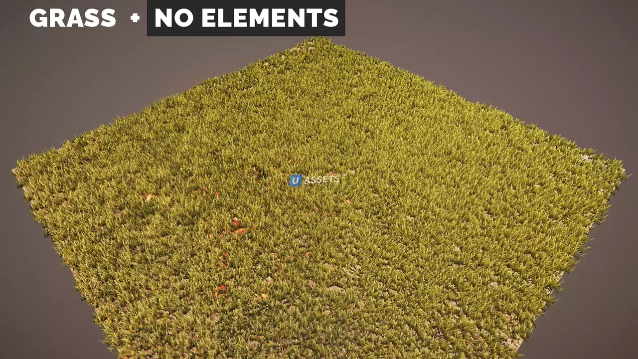 The Vegetation Engine