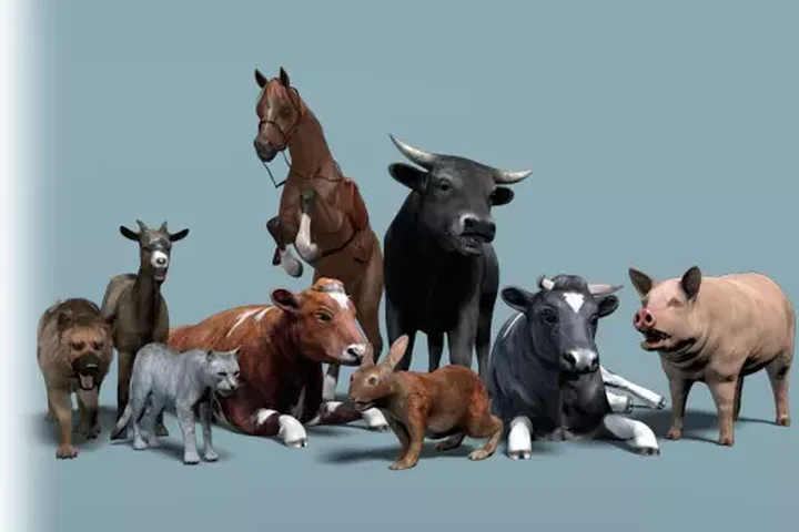 Domestic Animal Pack 1