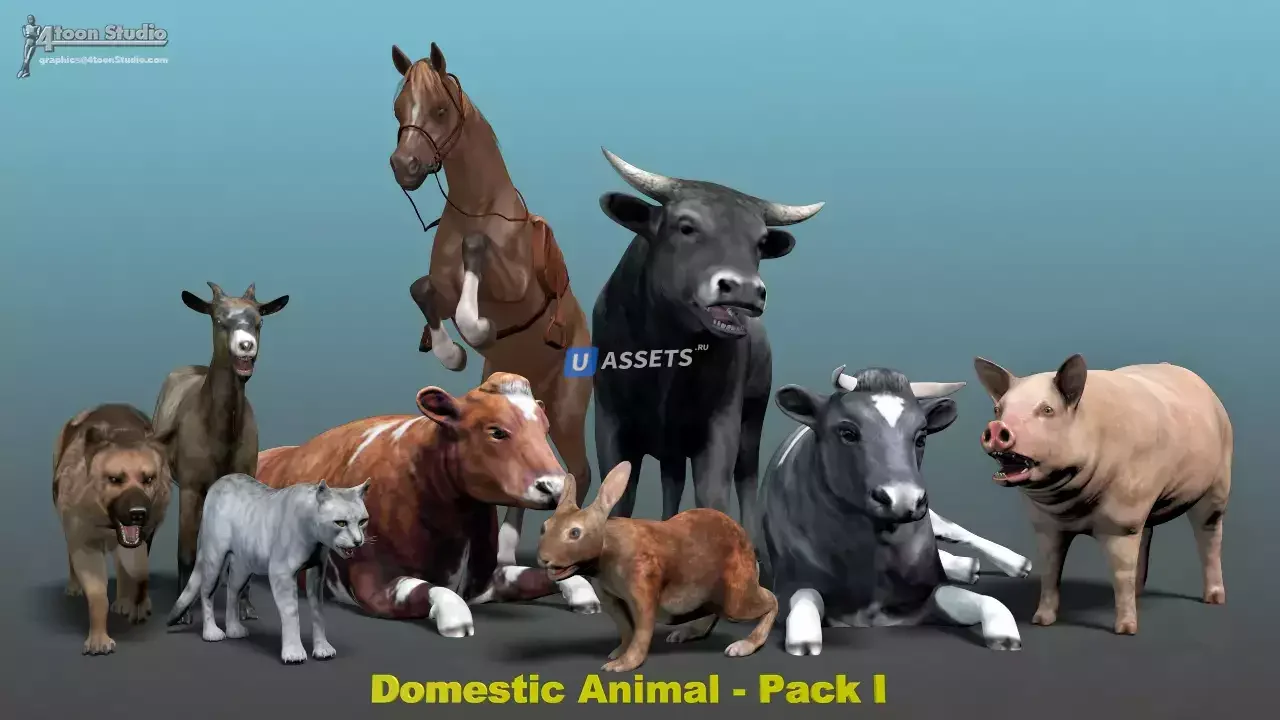 Domestic Animal Pack 1