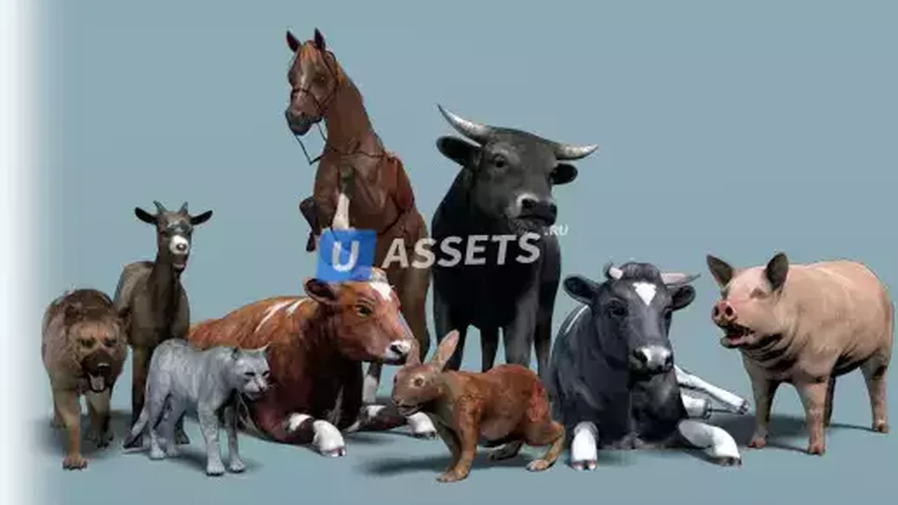 Domestic Animal Pack 1