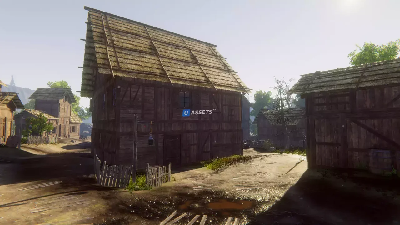Medieval Village Environment