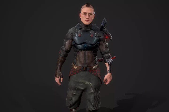 Сyber samurai