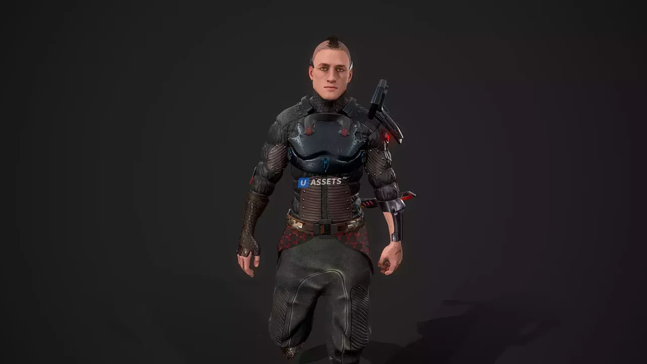 Сyber samurai