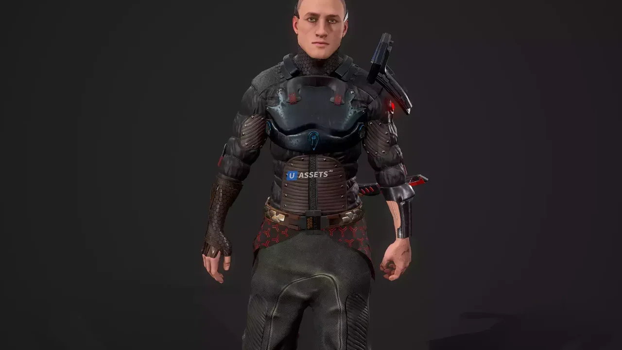 Сyber samurai