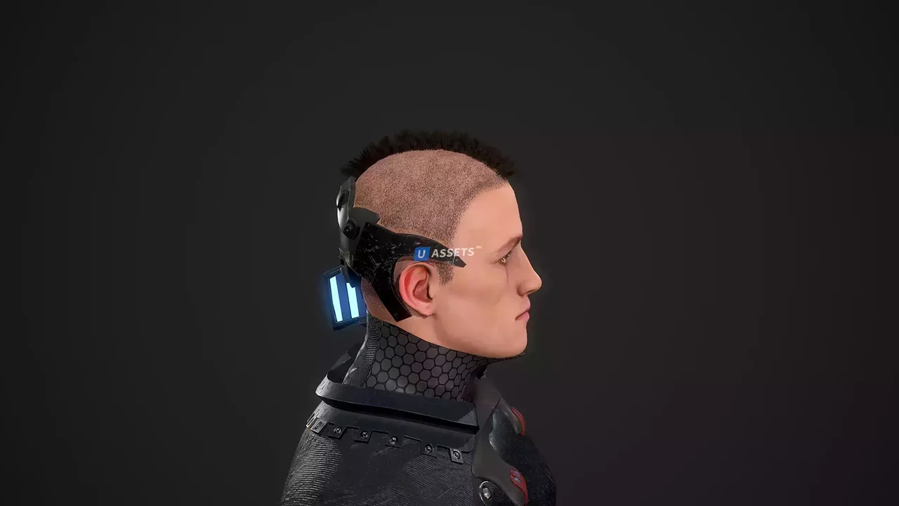 Сyber samurai