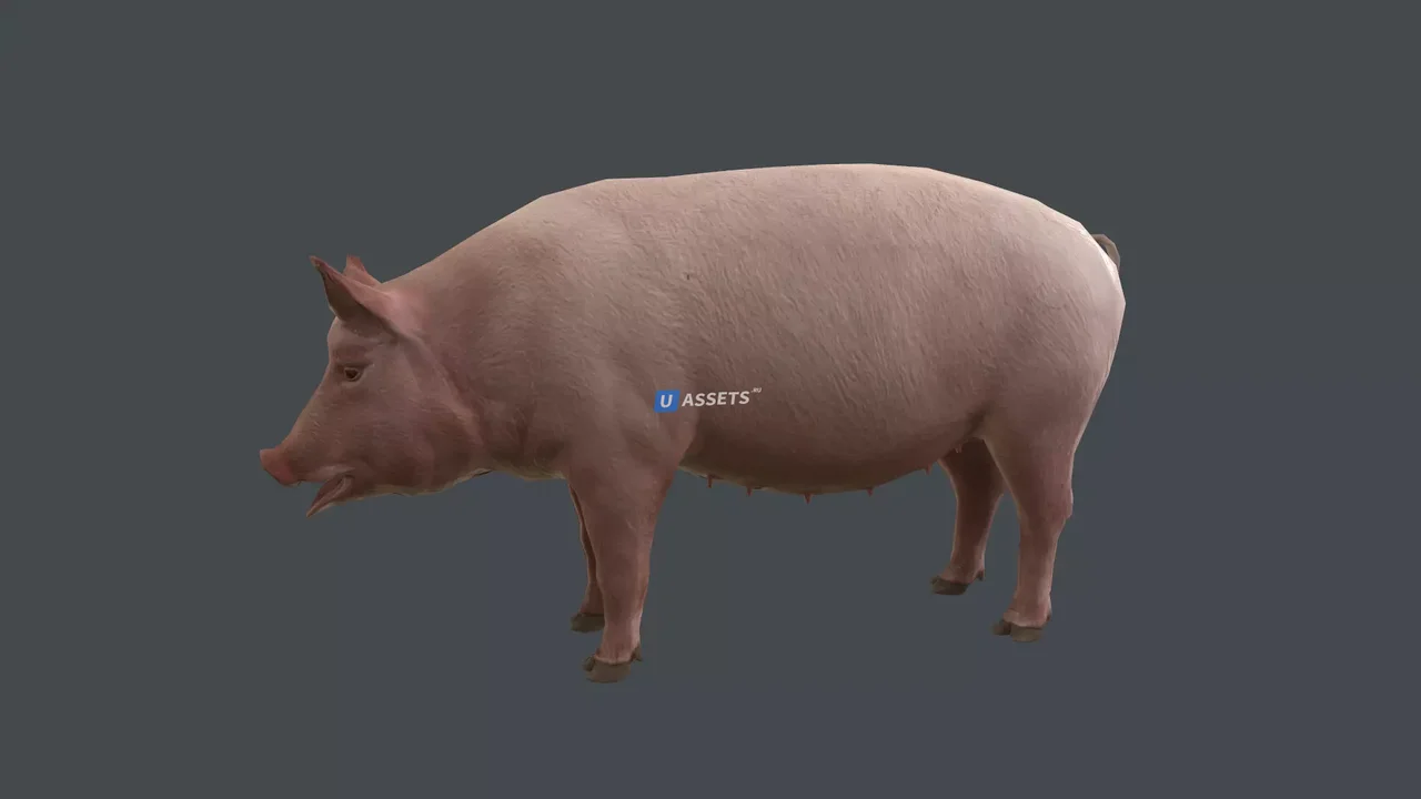 Animal pack deluxe v2 1.0