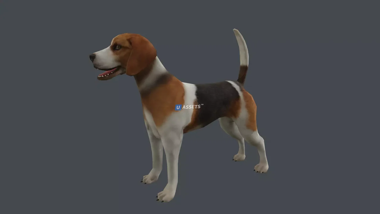 Animal pack deluxe v2 1.0