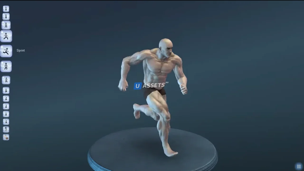 Base Male (Muscular)