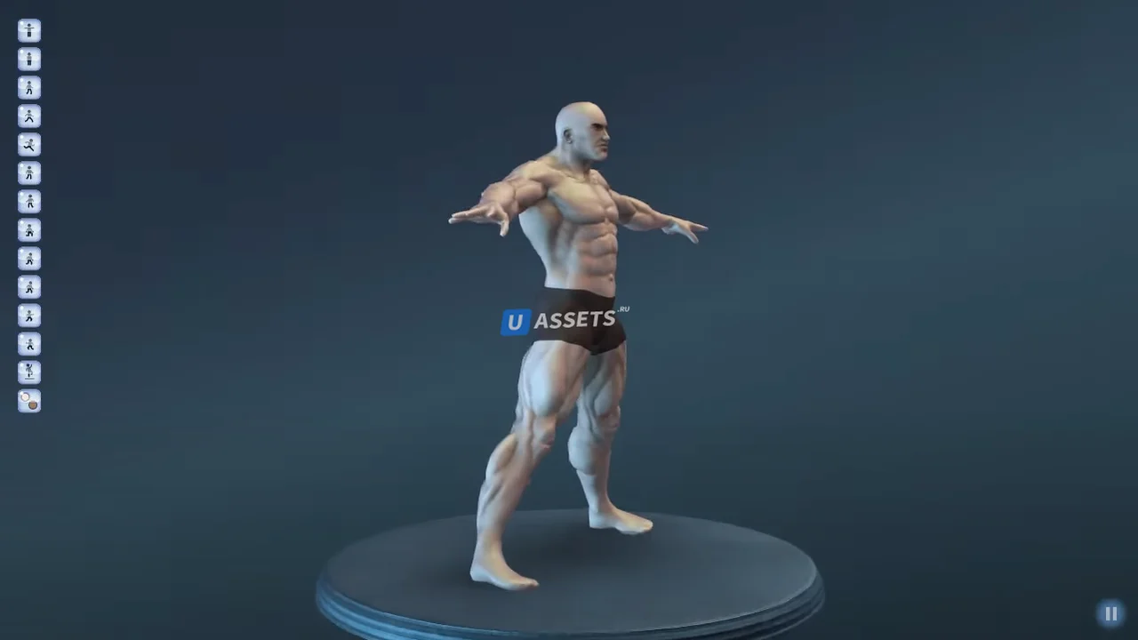 Base Male (Muscular)