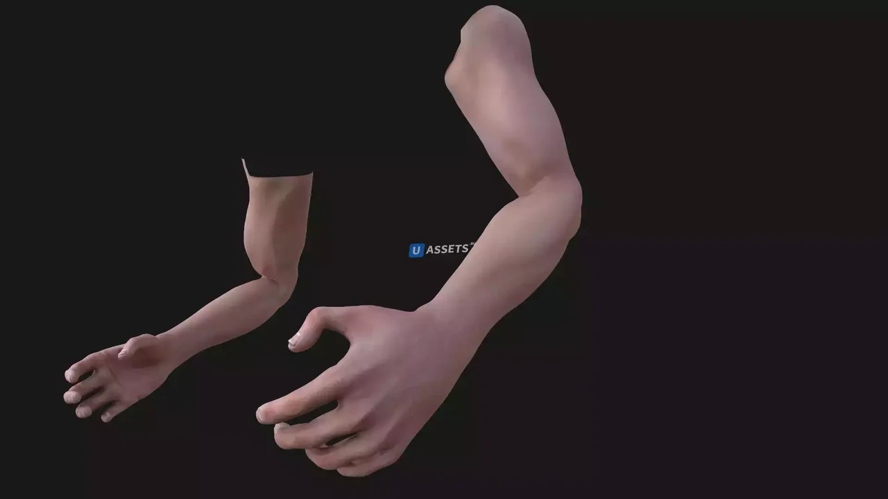 FPS Animated Arms v4.0