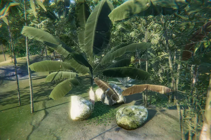 Tropical South-East Asia Rainforest / Jungle Pack
