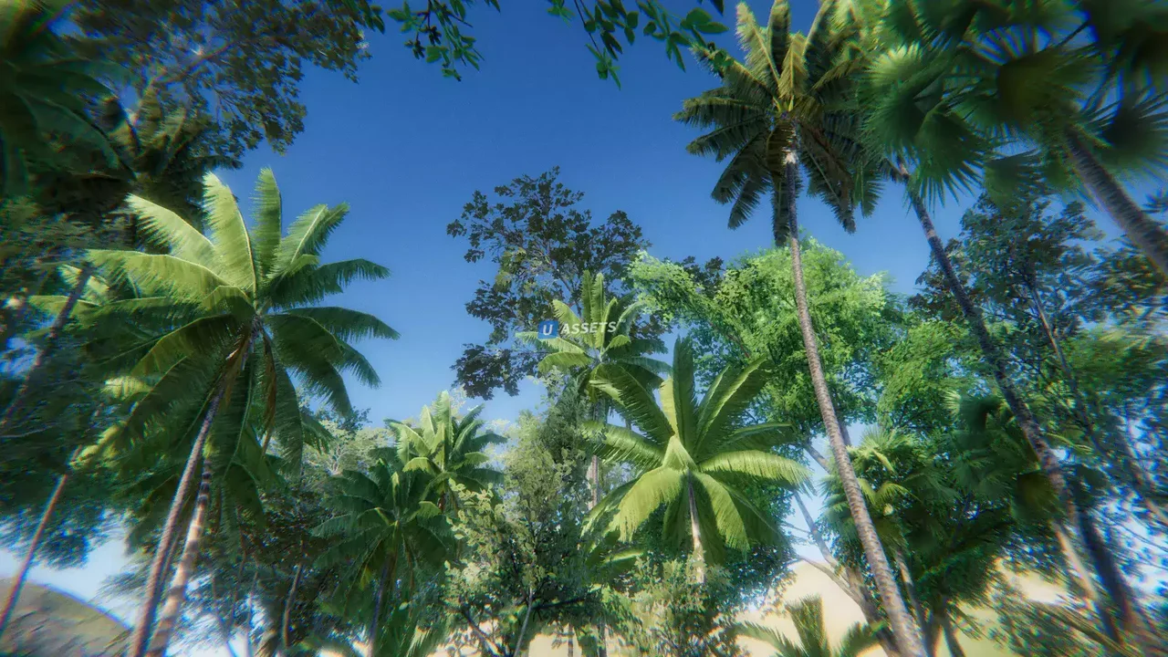 Tropical South-East Asia Rainforest / Jungle Pack