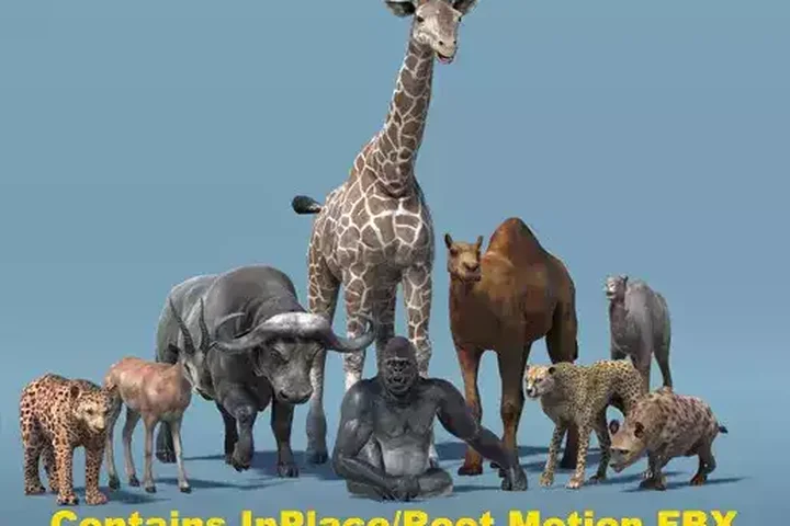 African Animal Pack 2