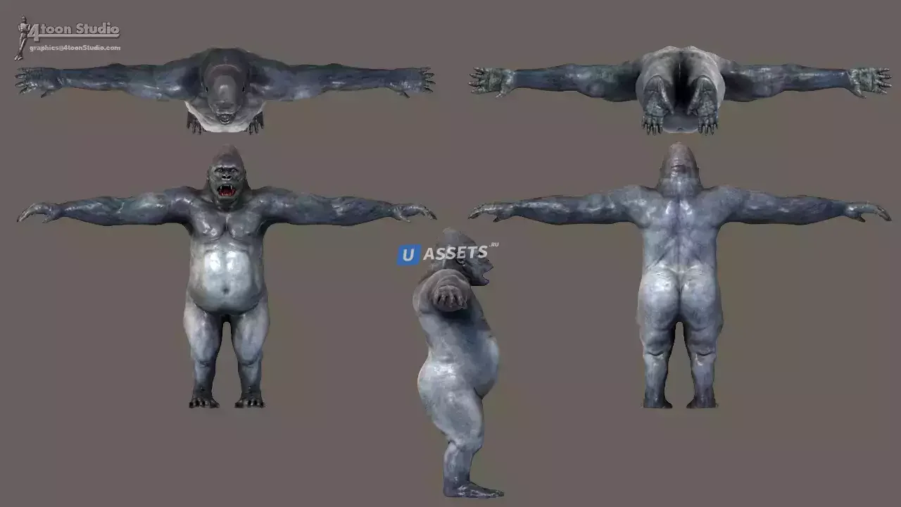 African Animal Pack 2