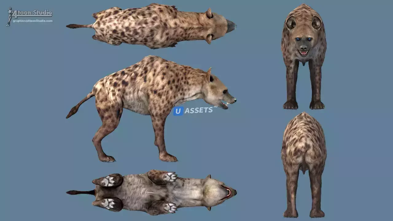 African Animal Pack 2