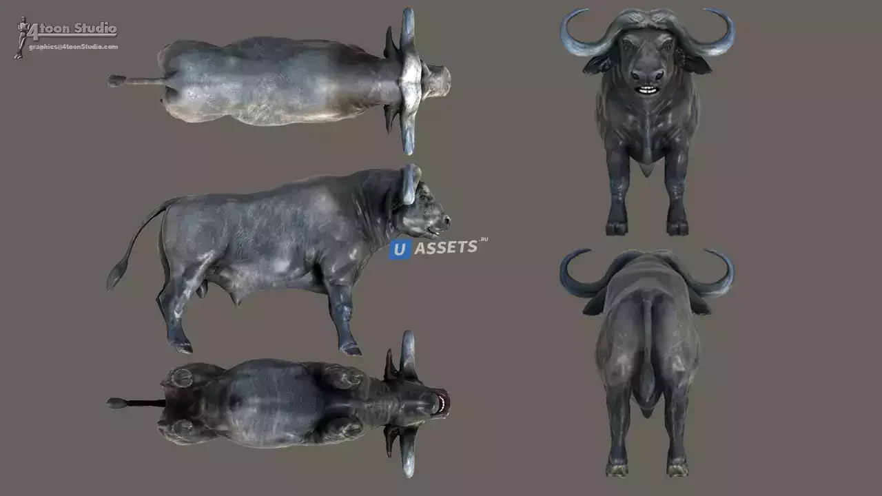 African Animal Pack 2