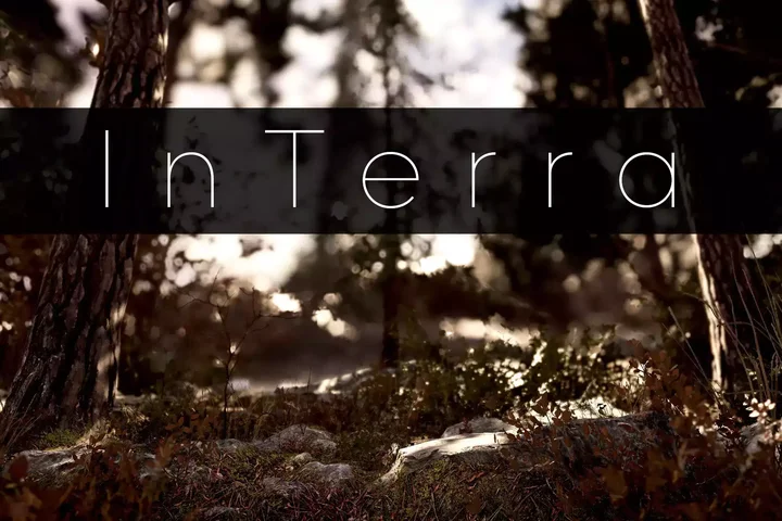 InTerra ~ Shaders for Terrain & its Objects