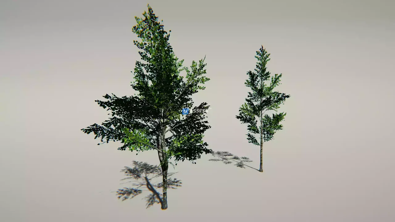Animated Trees Package