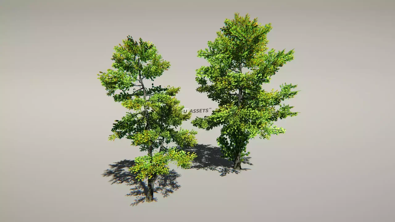 Animated Trees Package