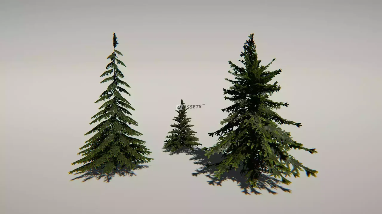 Animated Trees Package