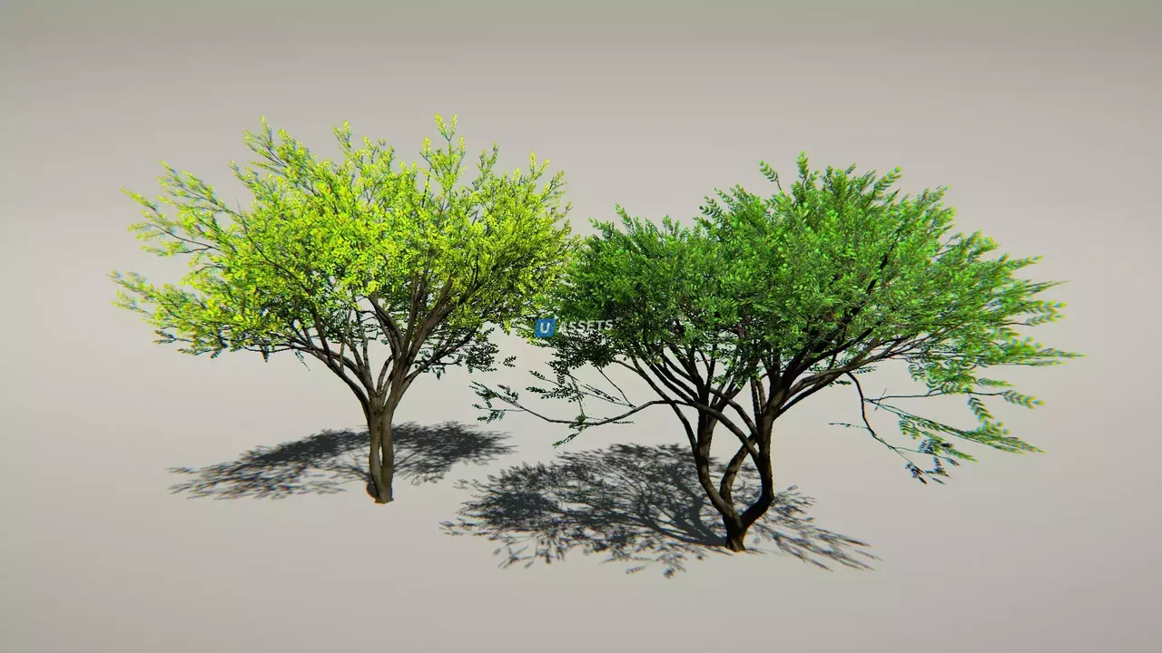 Animated Trees Package