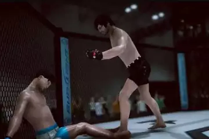 Master Fighting System