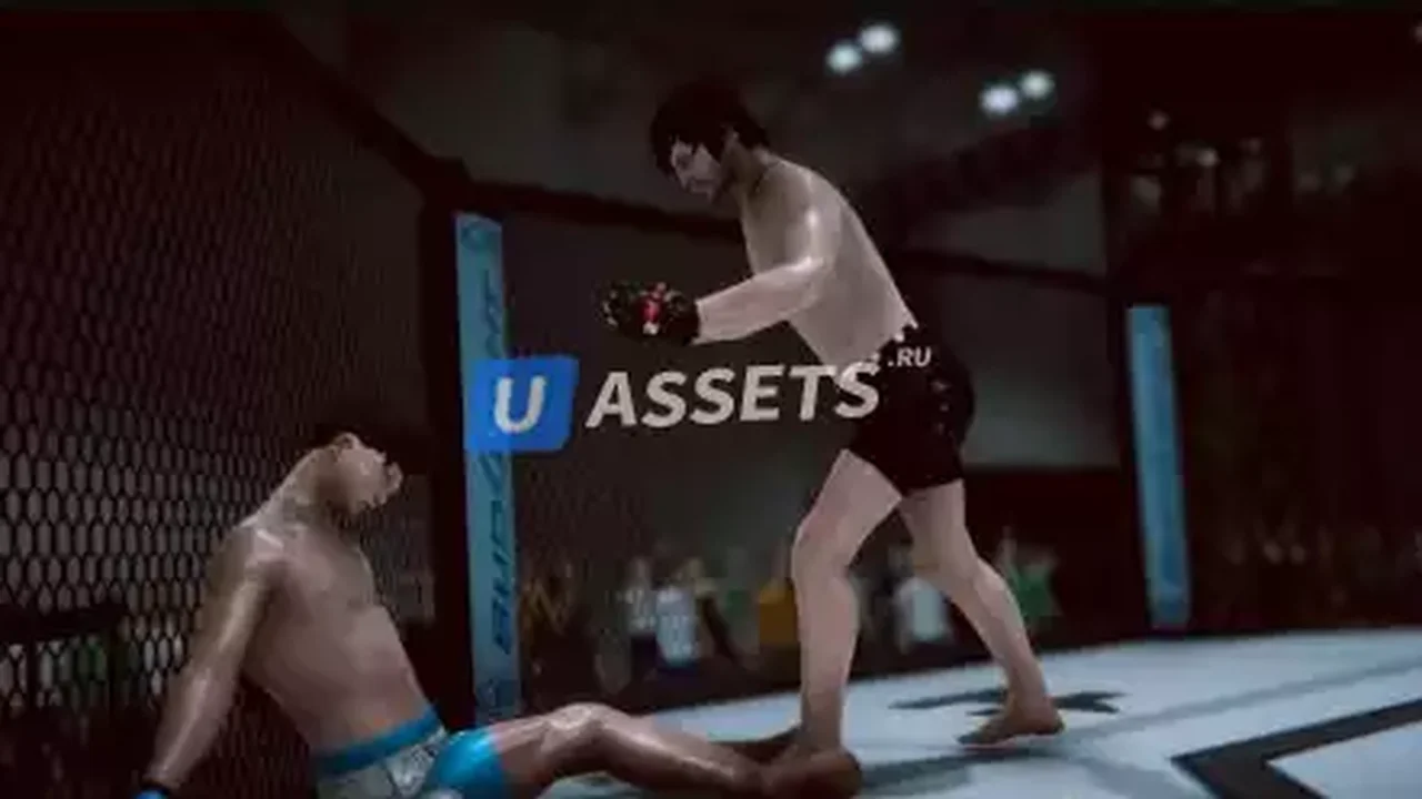 Master Fighting System