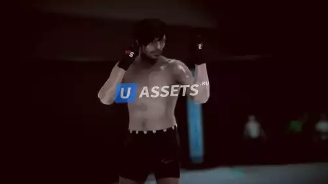 Master Fighting System