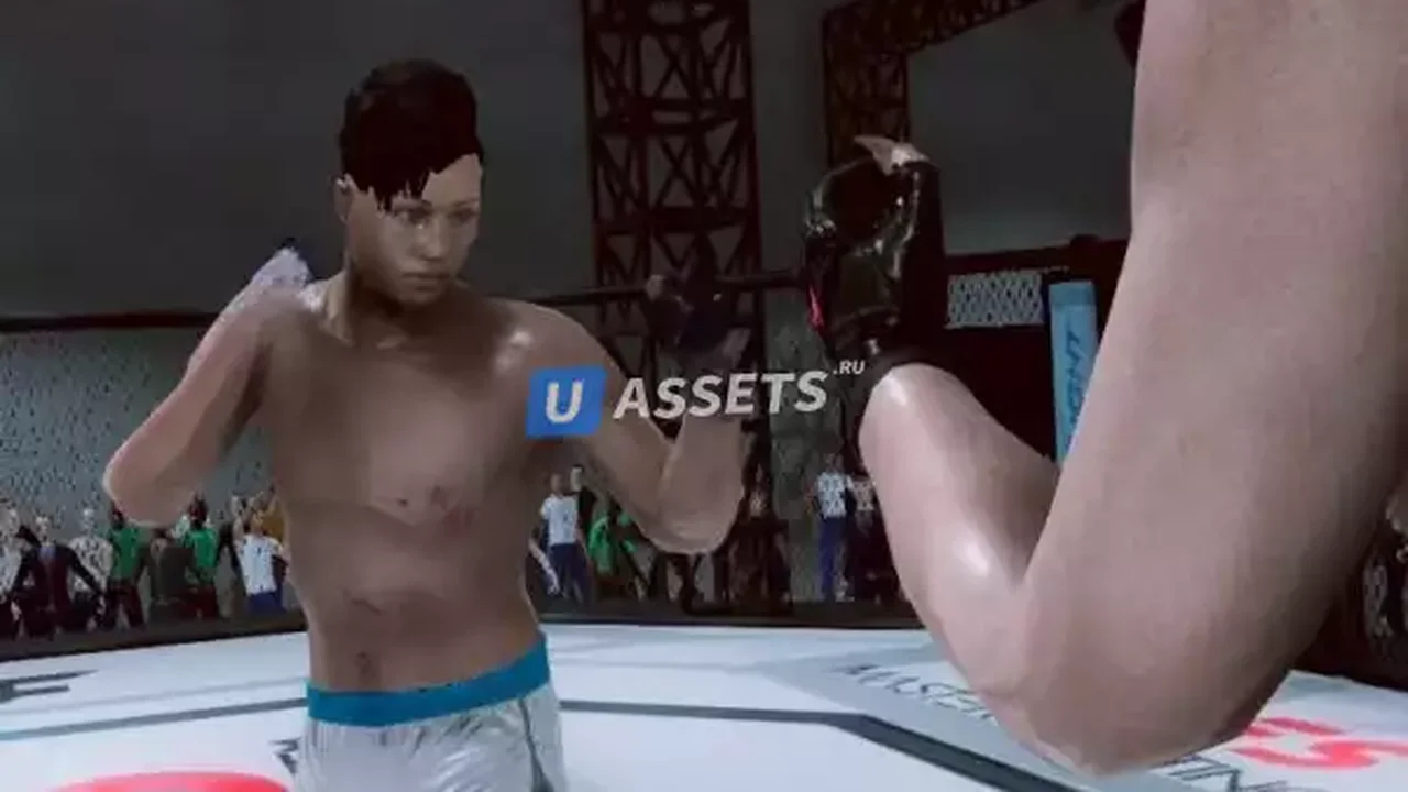 Master Fighting System