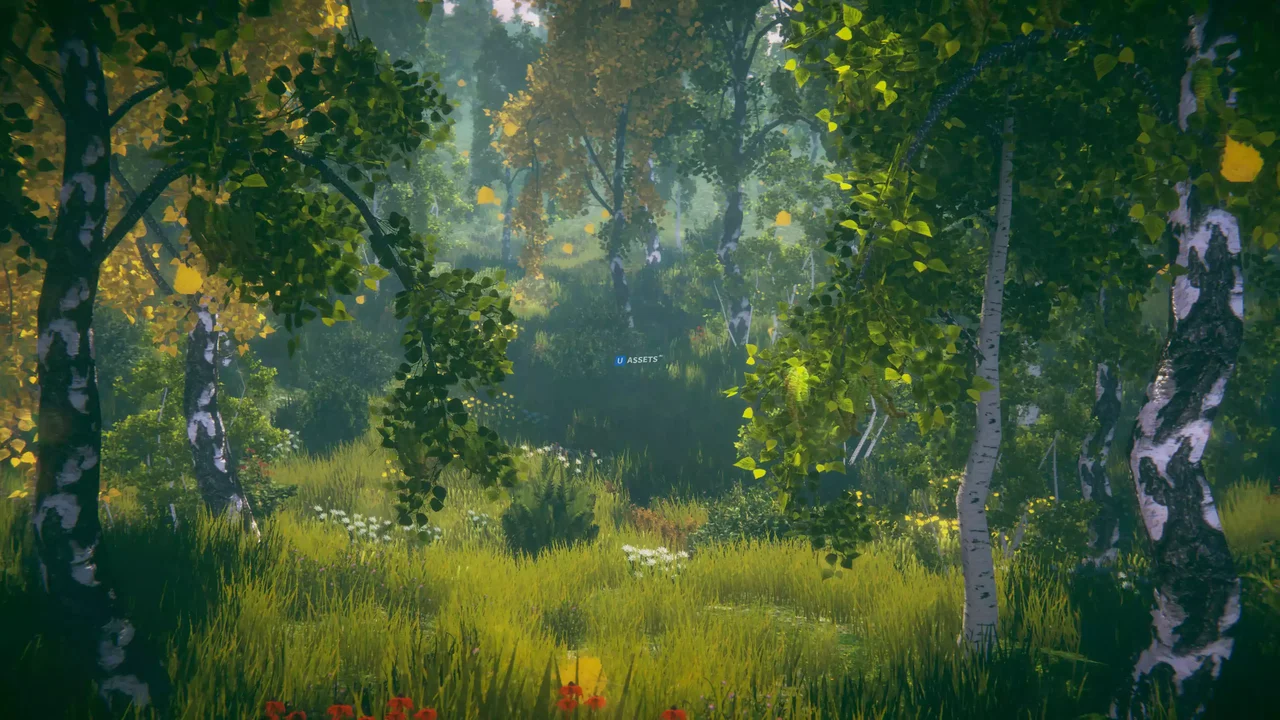 Trees Variety