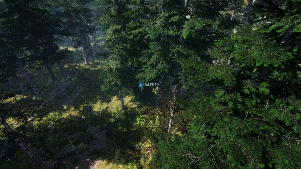 Mountain Trees - Dynamic Nature