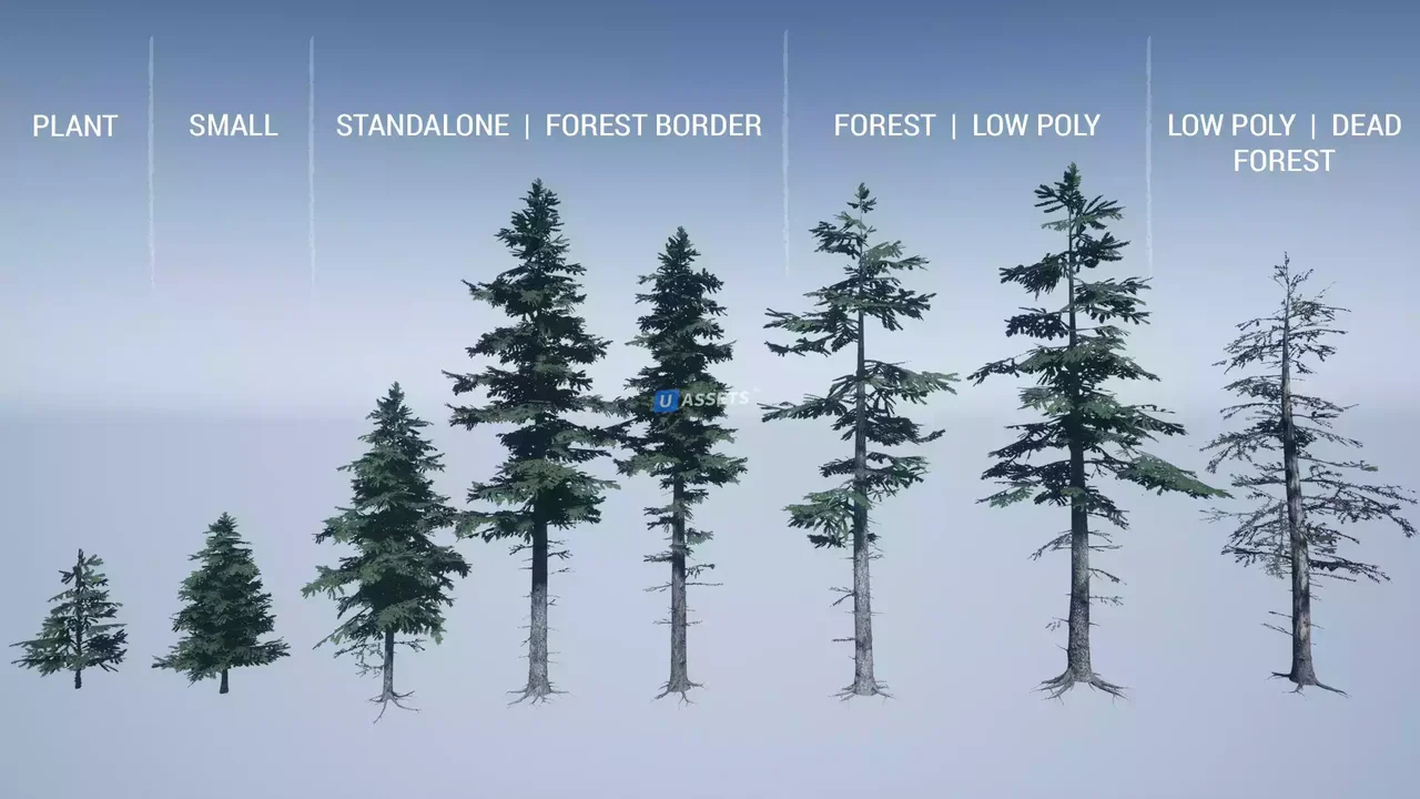 Mountain Trees - Dynamic Nature