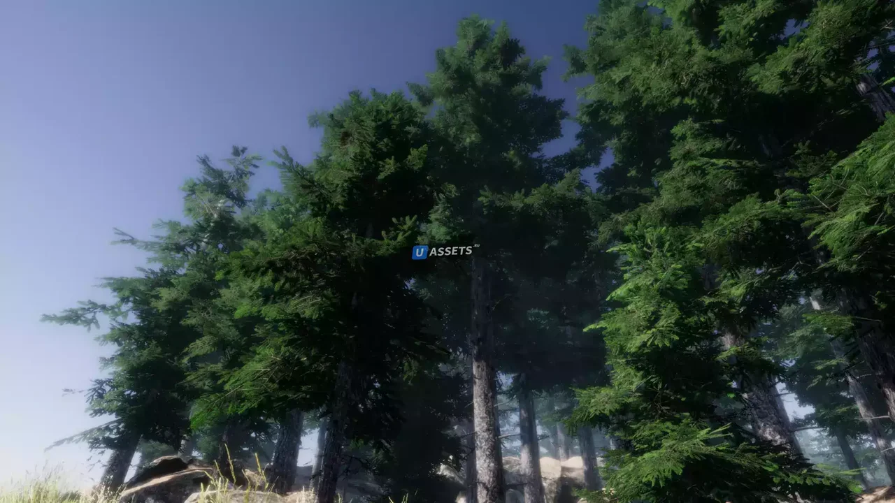 Mountain Trees - Dynamic Nature
