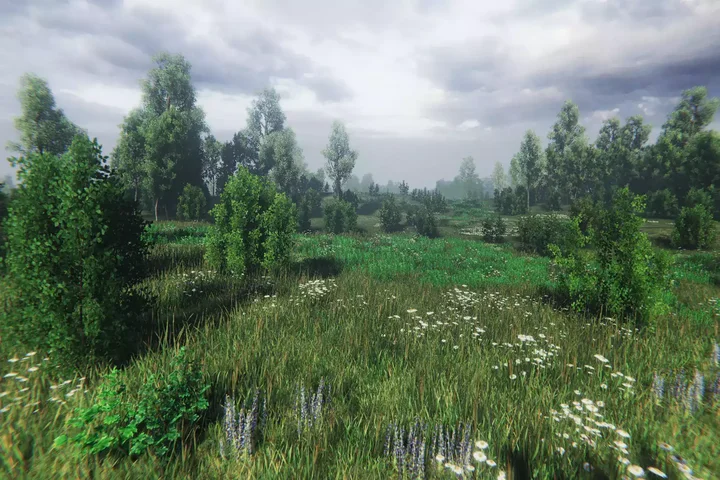 Nature Package - Swamp Forest Environment