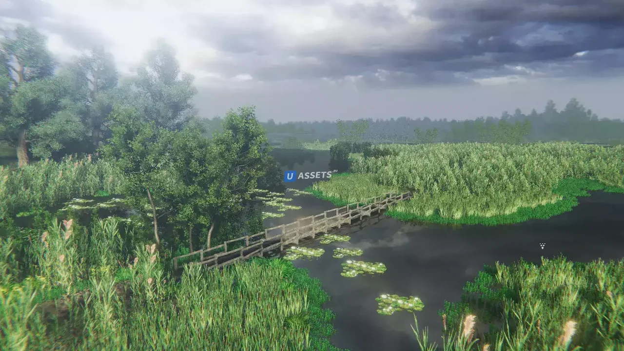 Nature Package - Swamp Forest Environment