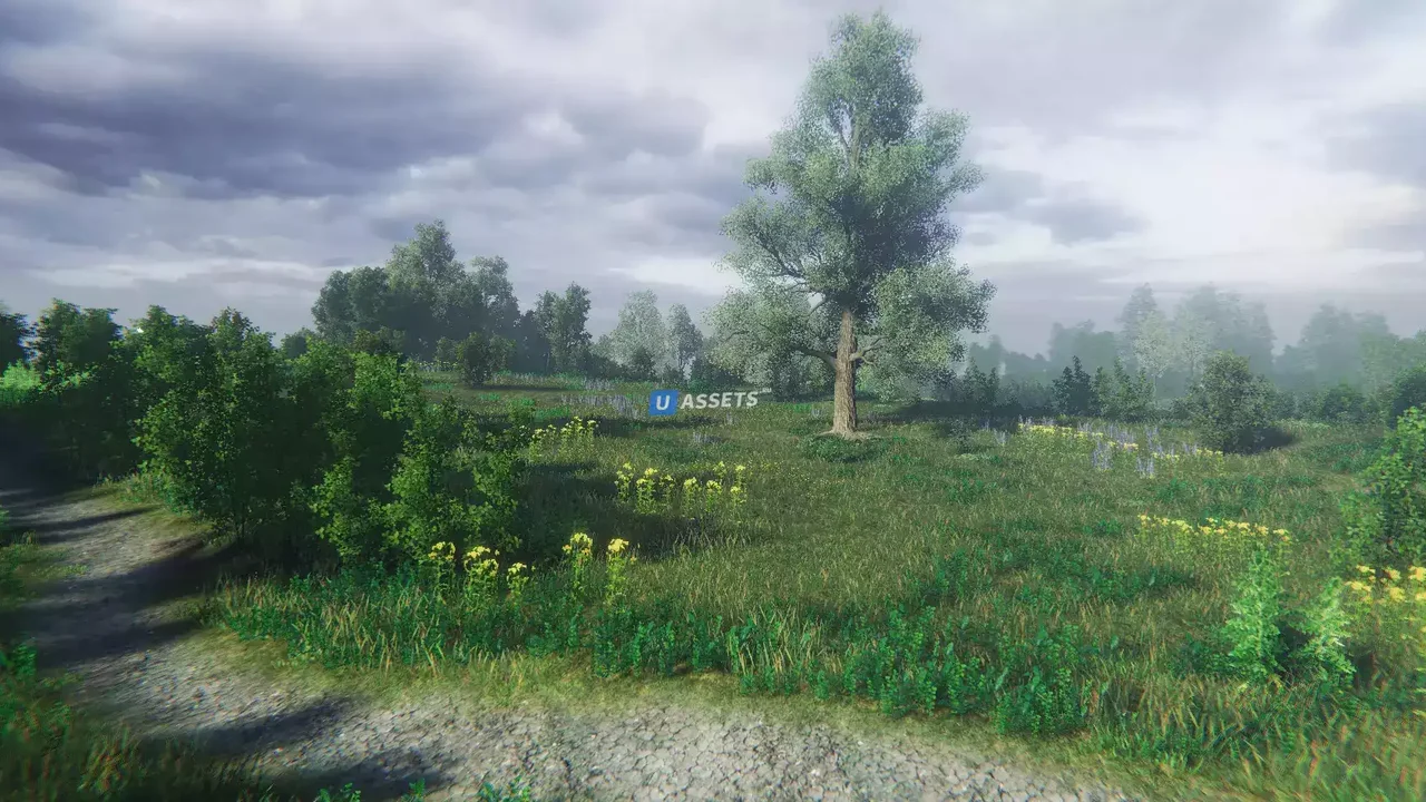 Nature Package - Swamp Forest Environment
