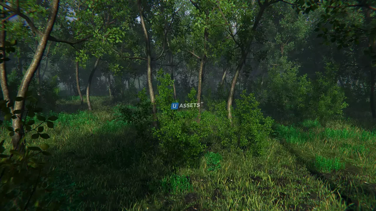 Nature Package - Swamp Forest Environment