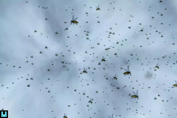 Fly Particle System
