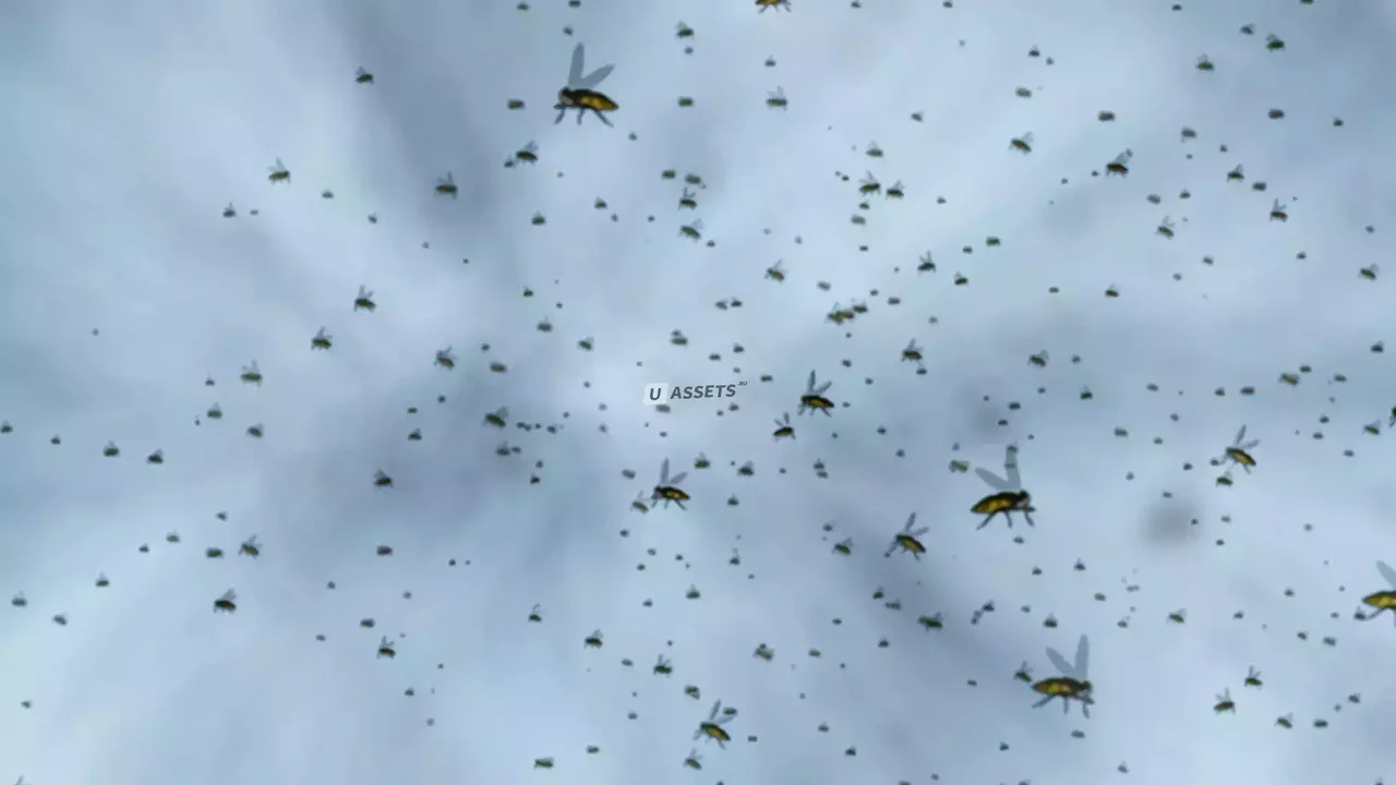Fly Particle System