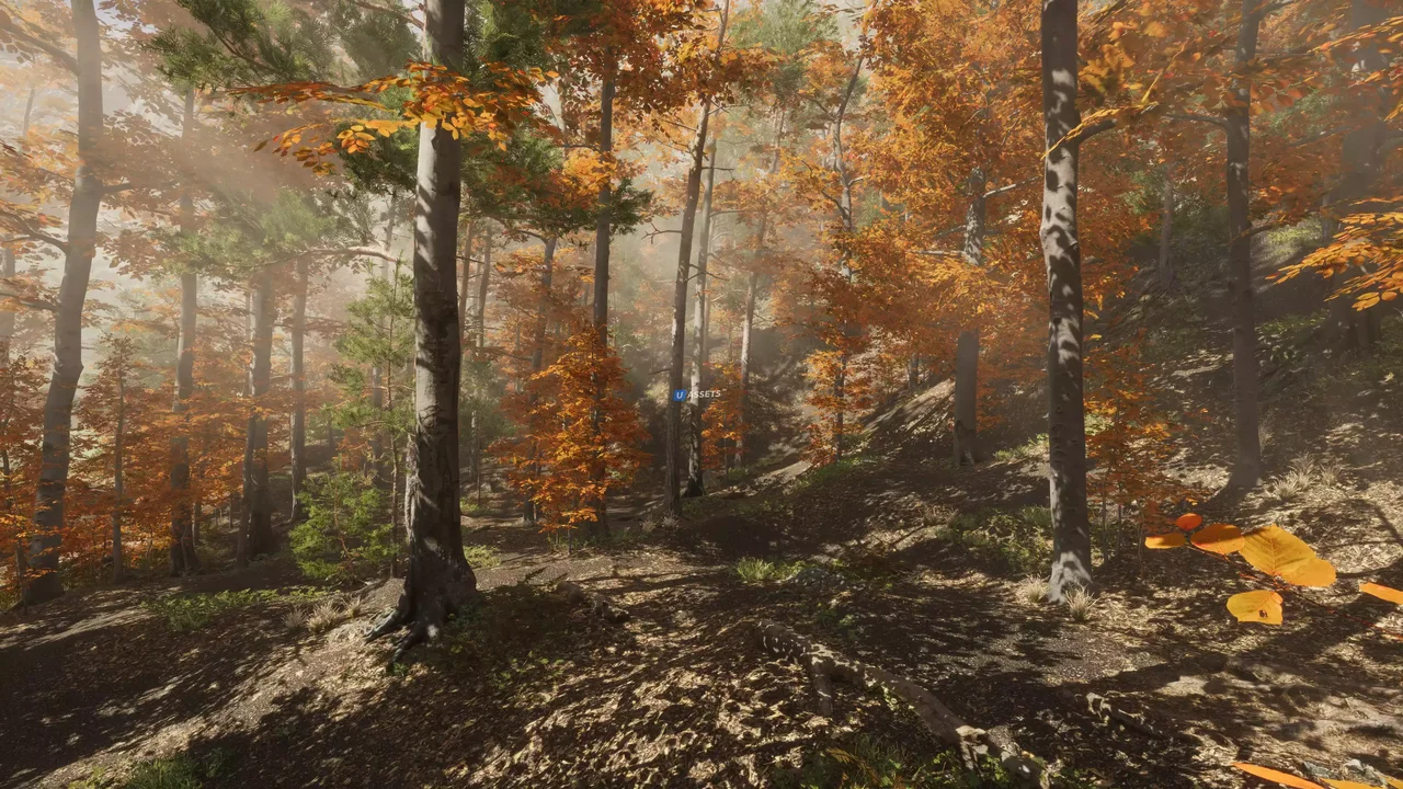 Autumn Valley - Level