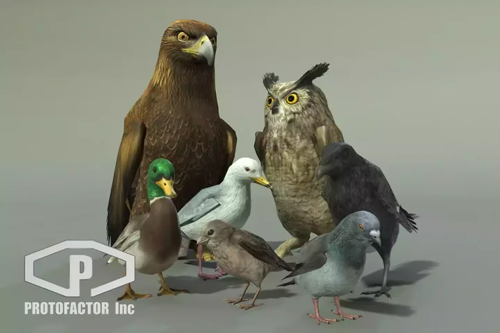 BIRDS PACK