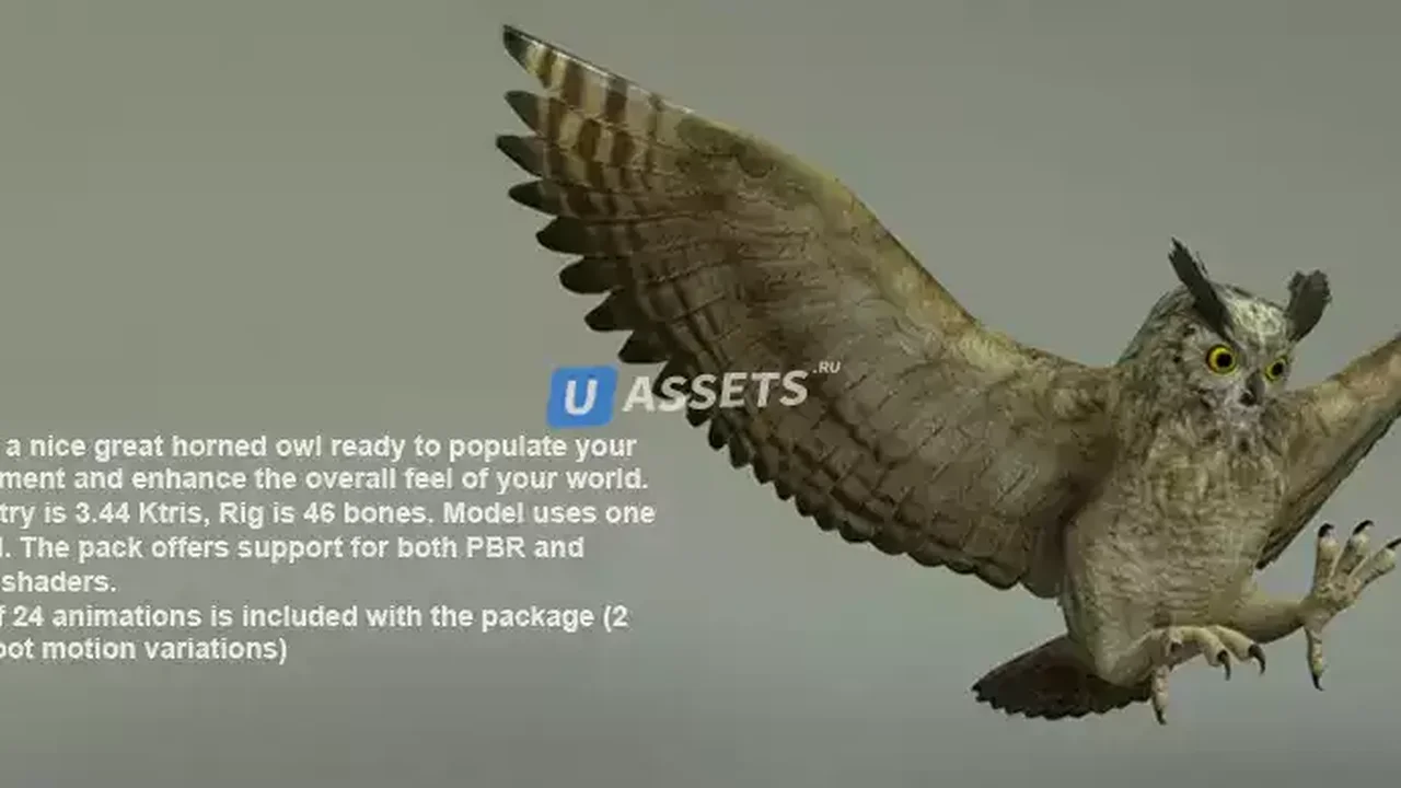 BIRDS PACK