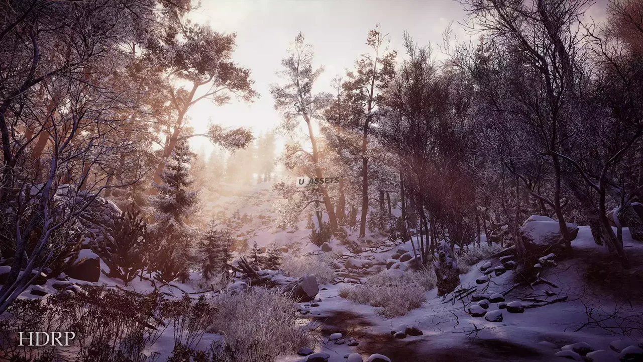 Real Landscapes - Valley Forest